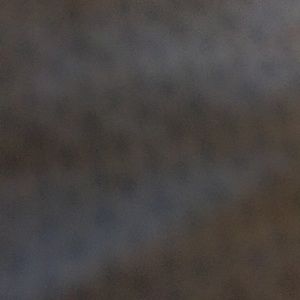 Meet your Posher, Shalandus